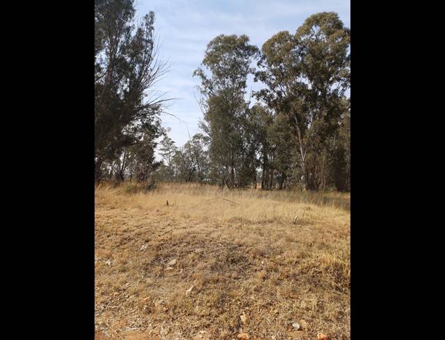 16HA VACANT LAND FOR SALE IN WALKER FRUIT FARMS